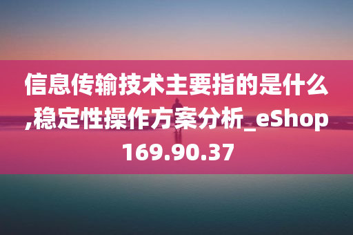 信息传输技术主要指的是什么,稳定性操作方案分析_eShop169.90.37