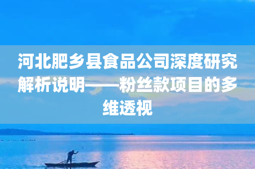 河北肥乡县食品公司深度研究解析说明——粉丝款项目的多维透视