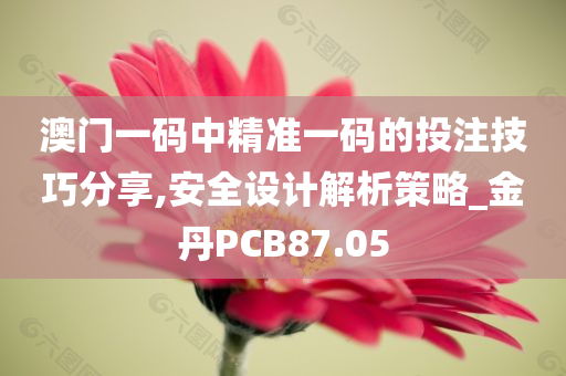 澳门一码中精准一码的投注技巧分享,安全设计解析策略_金丹PCB87.05