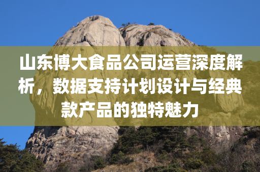 山东博大食品公司运营深度解析，数据支持计划设计与经典款产品的独特魅力