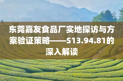 东莞嘉友食品厂实地探访与方案验证策略——S13.94.81的深入解读