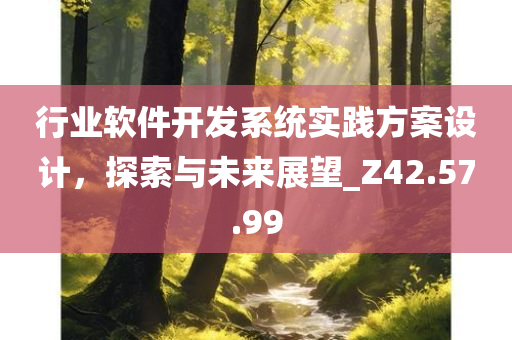 行业软件开发系统实践方案设计，探索与未来展望_Z42.57.99