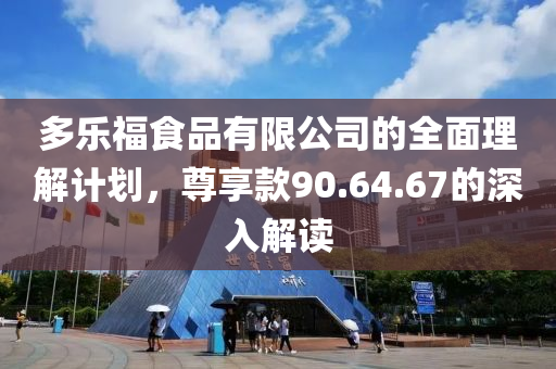 多乐福食品有限公司的全面理解计划，尊享款90.64.67的深入解读