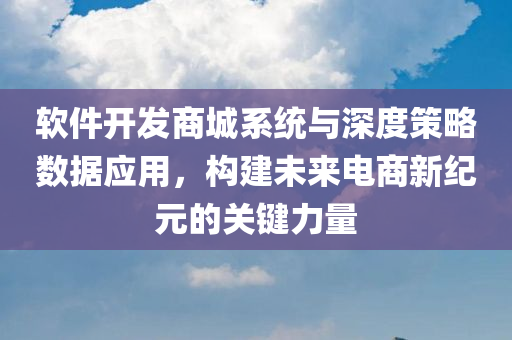 软件开发商城系统与深度策略数据应用，构建未来电商新纪元的关键力量