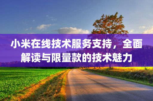 小米在线技术服务支持，全面解读与限量款的技术魅力