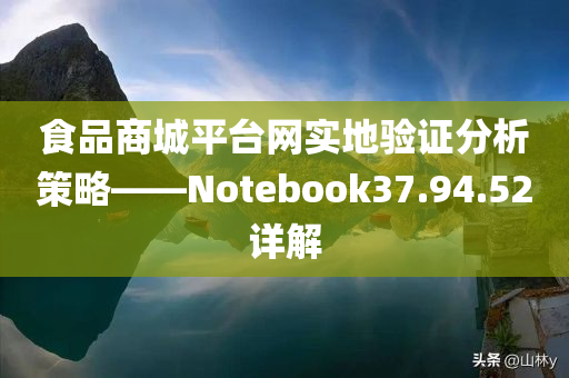 食品商城平台网实地验证分析策略——Notebook37.94.52详解