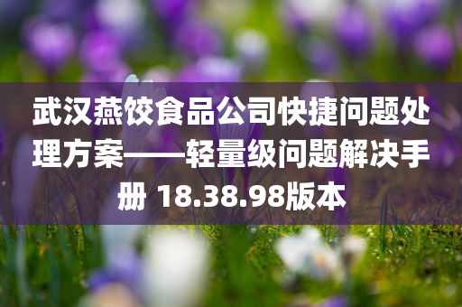 武汉燕饺食品公司快捷问题处理方案——轻量级问题解决手册 18.38.98版本