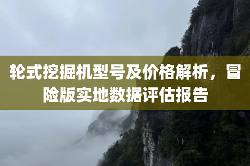 轮式挖掘机型号及价格解析，冒险版实地数据评估报告