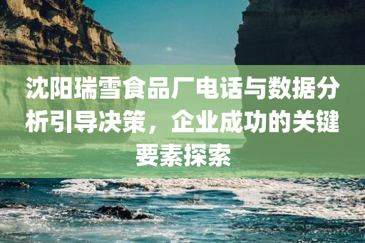 沈阳瑞雪食品厂电话与数据分析引导决策，企业成功的关键要素探索