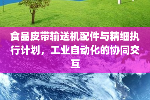 食品皮带输送机配件与精细执行计划，工业自动化的协同交互