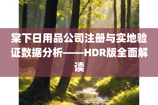 棠下日用品公司注册与实地验证数据分析——HDR版全面解读