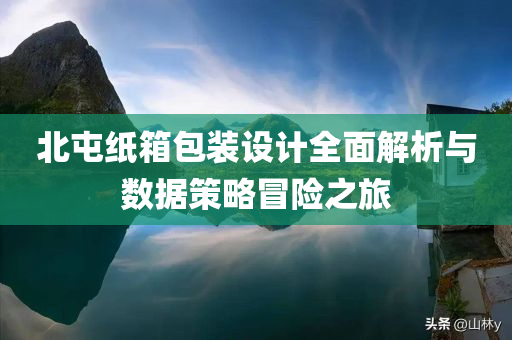 北屯纸箱包装设计全面解析与数据策略冒险之旅