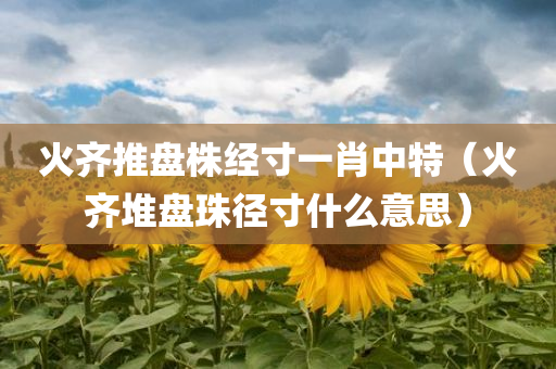 火齐推盘株经寸一肖中特（火齐堆盘珠径寸什么意思）