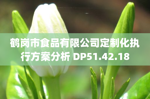 鹤岗市食品有限公司定制化执行方案分析 DP51.42.18