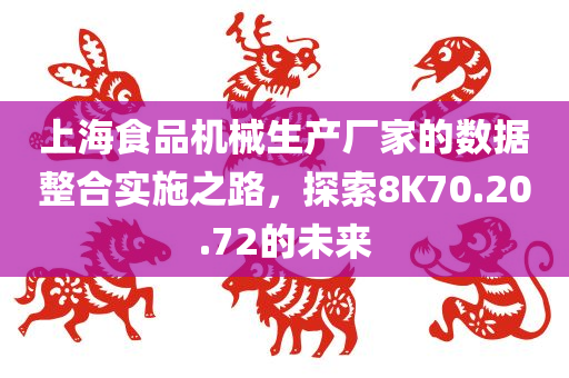 上海食品机械生产厂家的数据整合实施之路，探索8K70.20.72的未来