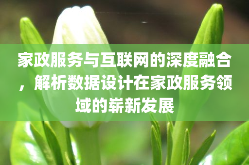 家政服务与互联网的深度融合，解析数据设计在家政服务领域的崭新发展