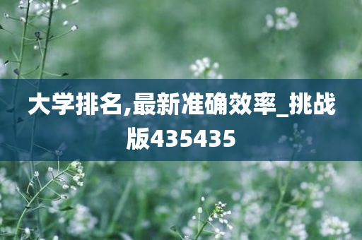 大学排名,最新准确效率_挑战版435435