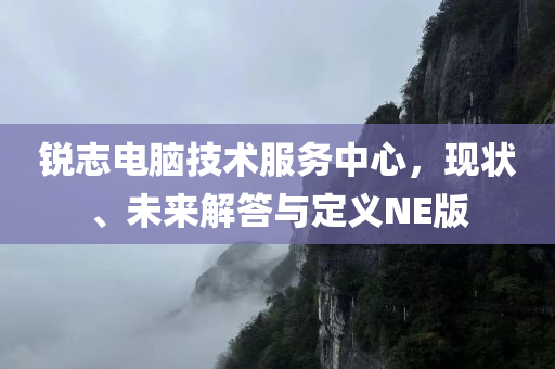 锐志电脑技术服务中心，现状、未来解答与定义NE版