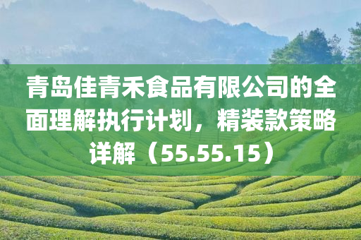 青岛佳青禾食品有限公司的全面理解执行计划，精装款策略详解（55.55.15）