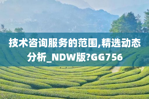 技术咨询服务的范围,精选动态分析_NDW版?GG756