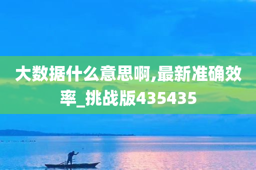 大数据什么意思啊,最新准确效率_挑战版435435