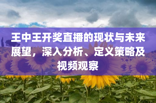 王中王开奖直播的现状与未来展望，深入分析、定义策略及视频观察