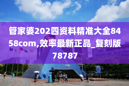 管家婆202四资料精准大全8458com,效率最新正品_复刻版78787