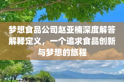 梦想食品公司赵亚楠深度解答解释定义，一个追求食品创新与梦想的旅程