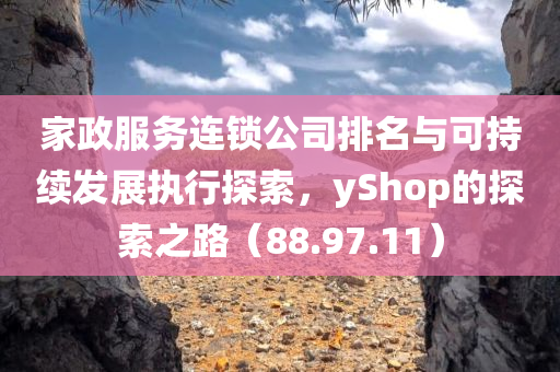 家政服务连锁公司排名与可持续发展执行探索，yShop的探索之路（88.97.11）