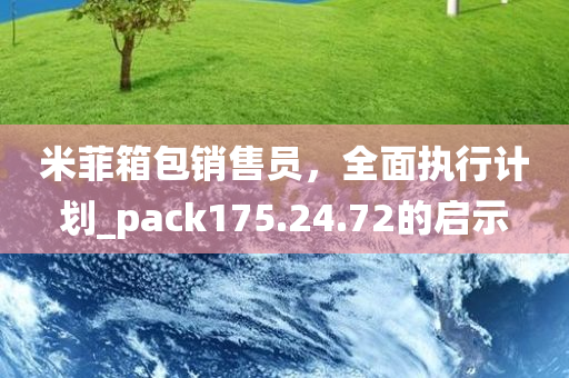 米菲箱包销售员，全面执行计划_pack175.24.72的启示