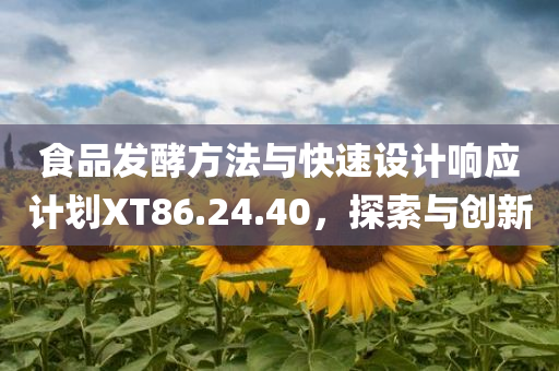 食品发酵方法与快速设计响应计划XT86.24.40，探索与创新