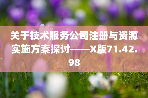 关于技术服务公司注册与资源实施方案探讨——X版71.42.98