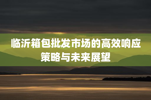 临沂箱包批发市场的高效响应策略与未来展望