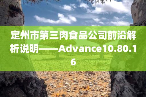 定州市第三肉食品公司前沿解析说明——Advance10.80.16