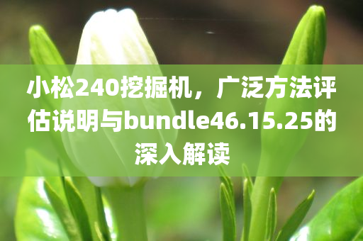 小松240挖掘机，广泛方法评估说明与bundle46.15.25的深入解读