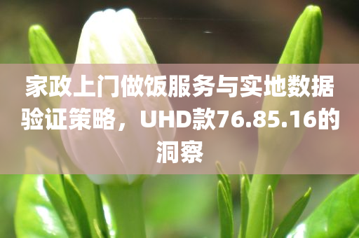 家政上门做饭服务与实地数据验证策略，UHD款76.85.16的洞察