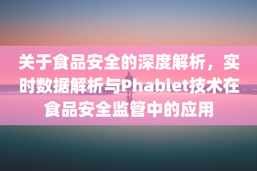 关于食品安全的深度解析，实时数据解析与Phablet技术在食品安全监管中的应用