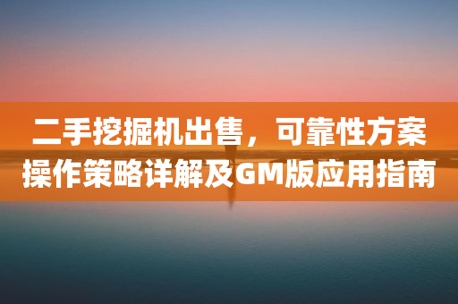 二手挖掘机出售，可靠性方案操作策略详解及GM版应用指南