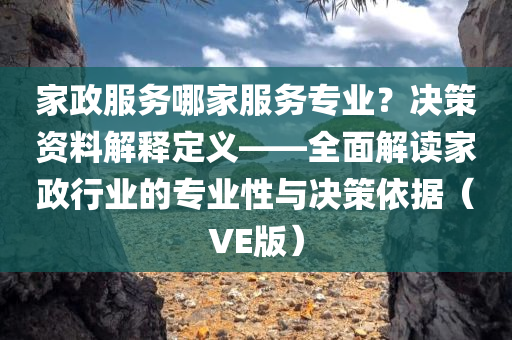 家政服务哪家服务专业？决策资料解释定义——全面解读家政行业的专业性与决策依据（VE版）