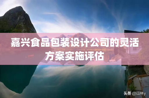 嘉兴食品包装设计公司的灵活方案实施评估