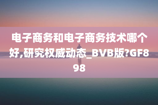 电子商务和电子商务技术哪个好,研究权威动态_BVB版?GF898