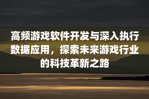 高频游戏软件开发与深入执行数据应用，探索未来游戏行业的科技革新之路