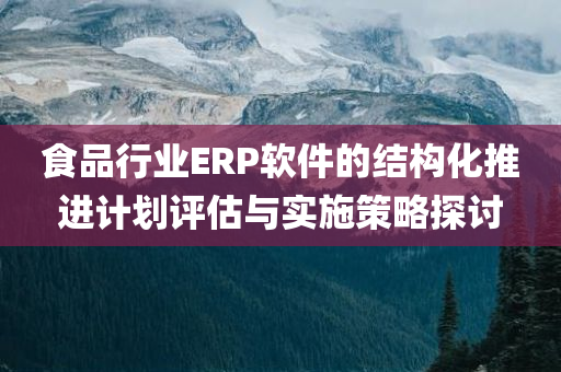 食品行业ERP软件的结构化推进计划评估与实施策略探讨