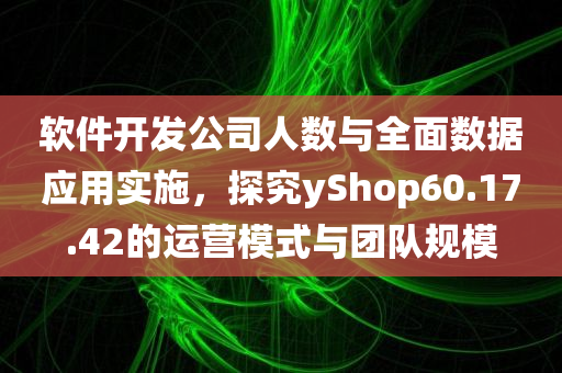 软件开发公司人数与全面数据应用实施，探究yShop60.17.42的运营模式与团队规模