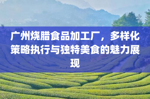 广州烧腊食品加工厂，多样化策略执行与独特美食的魅力展现