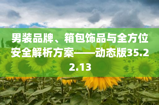 男装品牌、箱包饰品与全方位安全解析方案——动态版35.22.13