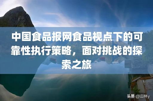 中国食品报网食品视点下的可靠性执行策略，面对挑战的探索之旅