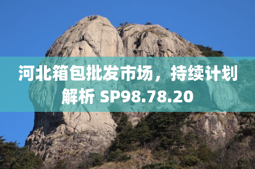 河北箱包批发市场，持续计划解析 SP98.78.20