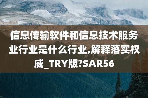 信息传输软件和信息技术服务业行业是什么行业,解释落实权威_TRY版?SAR56