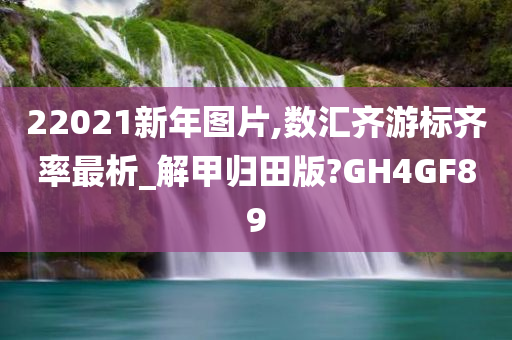 22021新年图片,数汇齐游标齐率最析_解甲归田版?GH4GF89